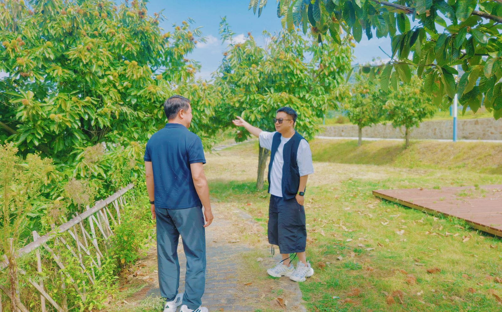 两人在栗树下