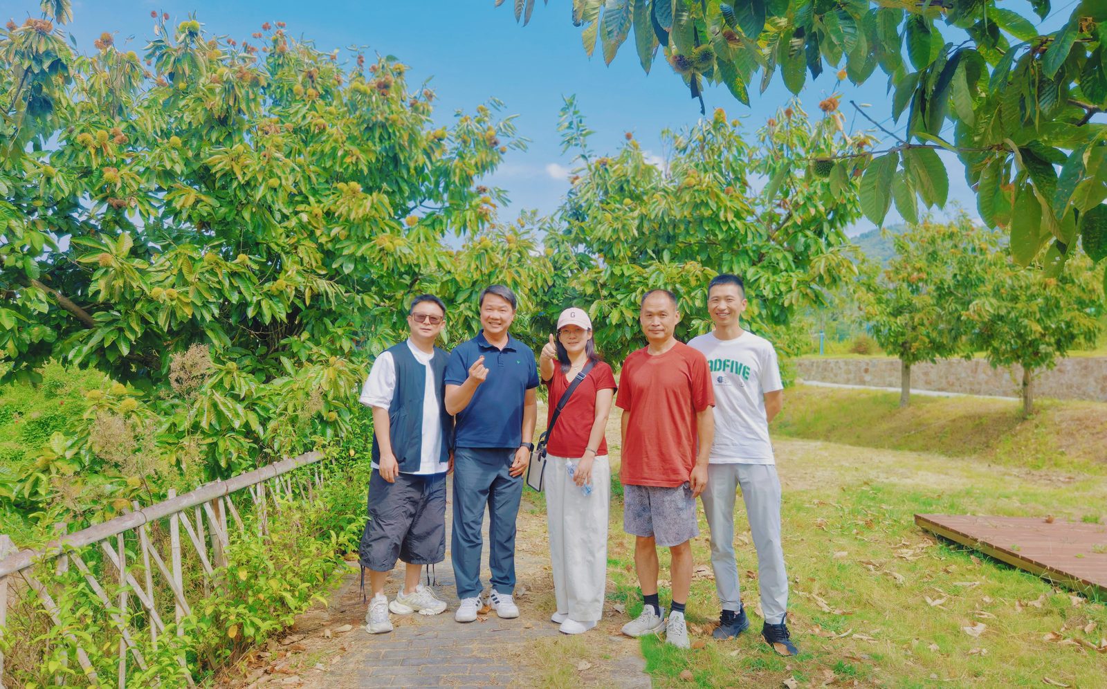 五人在栗树下合影