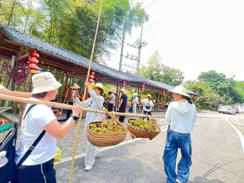罗田打板栗团队出发