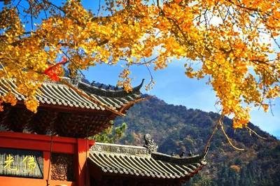 黄柏山国家森林公园:探秘河南商城的避暑胜地与千年银杏,旅游,旅游攻略,...