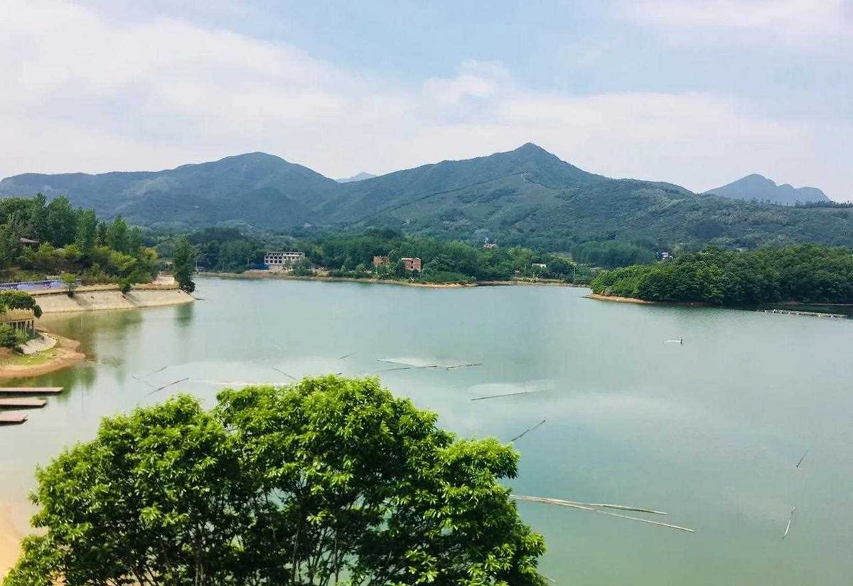 固始白鹭湖竹海培训中心民宿