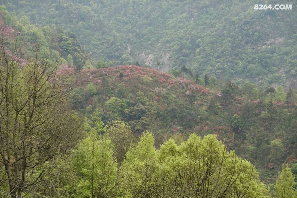 藏在大别山里的金寨大湾马鬃岭漂流,刺激又好玩,旅游,旅游攻略,好看视频
