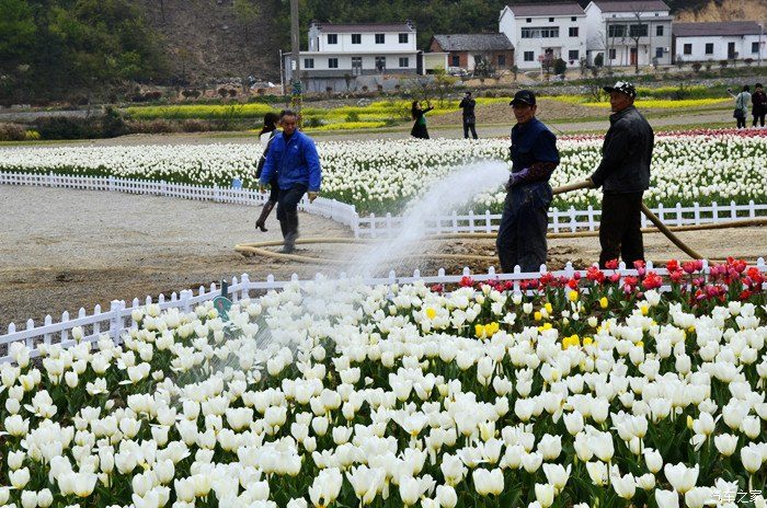 安庆:春潮涌动处 文旅正芳华