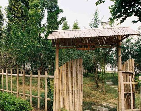 捉鸡、摘樱桃、摸鱼、住木屋，东西湖慈惠街五一亮点多多