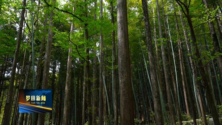 松亭客栈·大别山避暑