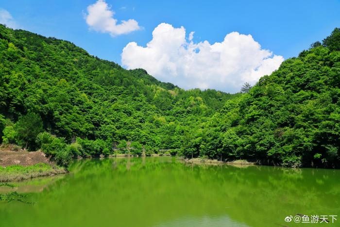 2026英山避暑漂流季正式启幕 三大主题线路邀你共赴夏日之约