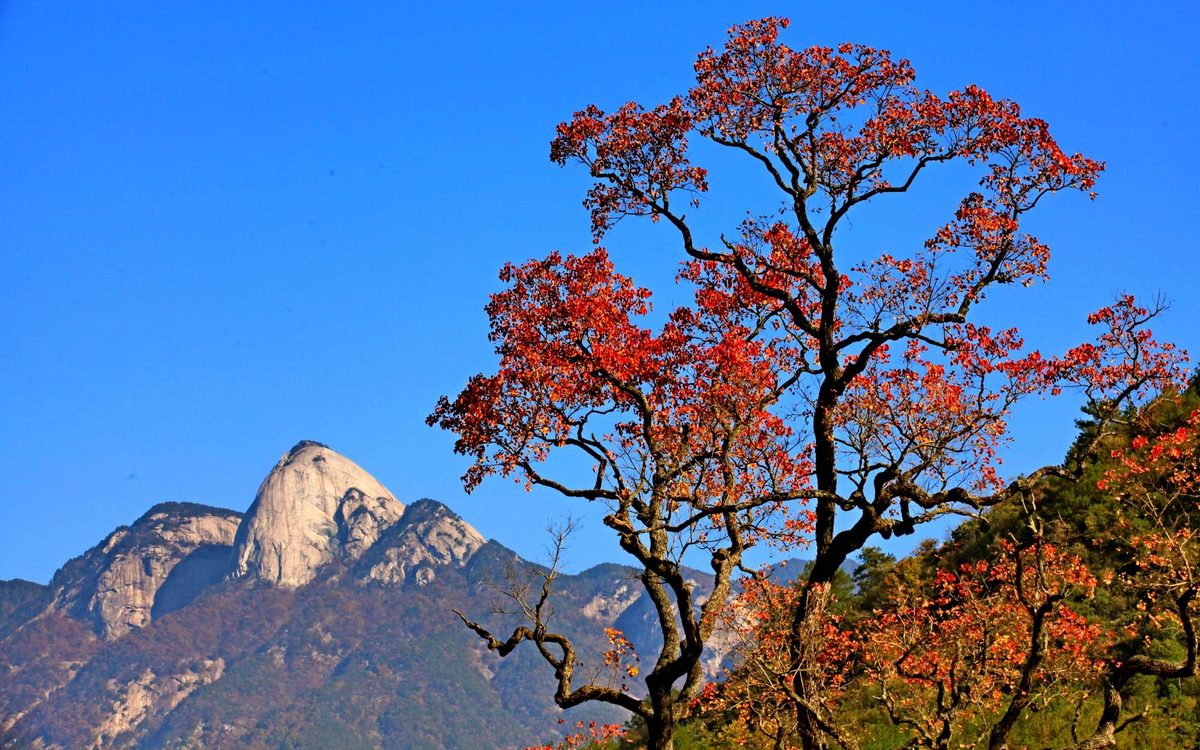 湖北罗田县自驾游攻略:深藏大别山的秋色秘境