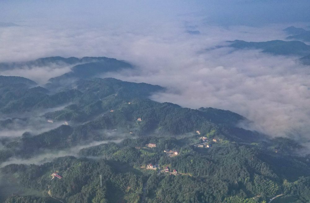 空调已哭!大别山22℃夏天爆火，长三角人正在偷渡去避暑