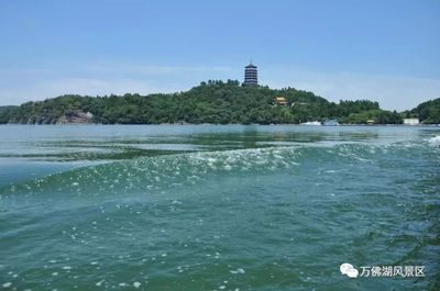 万佛湖夏日音浪美食狂欢季8月1日开启 连续5晚嗨玩