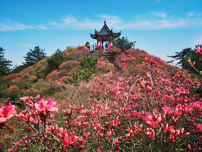 国家5A级湖北省黄冈市麻城龟峰山景区简介