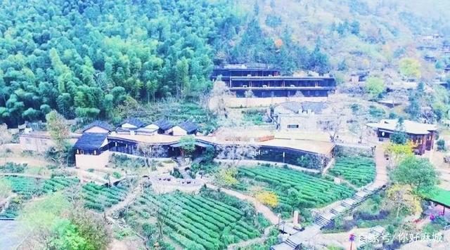 麻城龟峰山戏水营地走红：依500亩生态茶园而建，水域最深仅40厘米、全域监控加专职安全员
