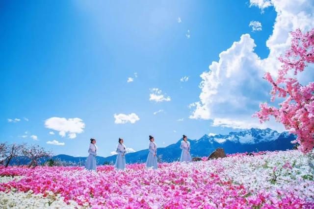 从观光打卡到诗意栖居——湖北黄梅县走出农文旅深度融合发展...