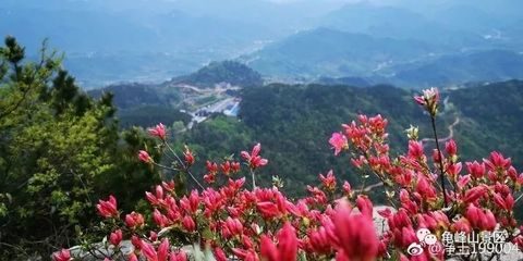 麻城龟峰山沉浸式游玩点燃假日热潮