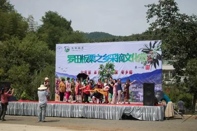 罗田板栗大赛在平湖乡启幕：赛事引流、直播带货促板栗销售