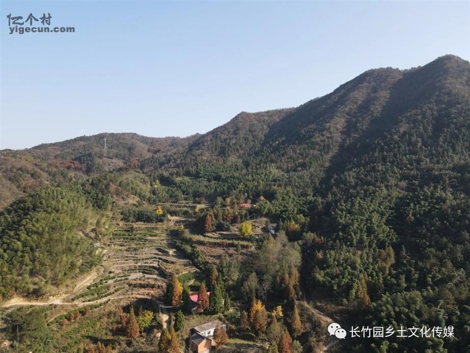 商城县磨盘山记忆民宿获评河南省五星级旅游民宿：5座院落23间客房藏于黄柏山竹海