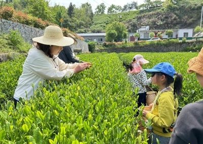 油坊店乡秋日茶乡游：西茶谷亲水栈道、瓜片拿铁、响洪甸库区游船与屿见旅拍岛