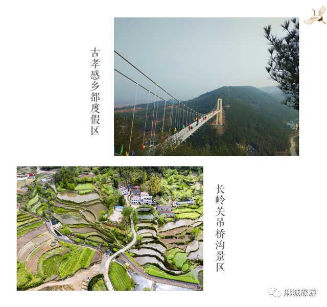 古孝感乡都项目正式动工!麻城再添寻根文旅新名片