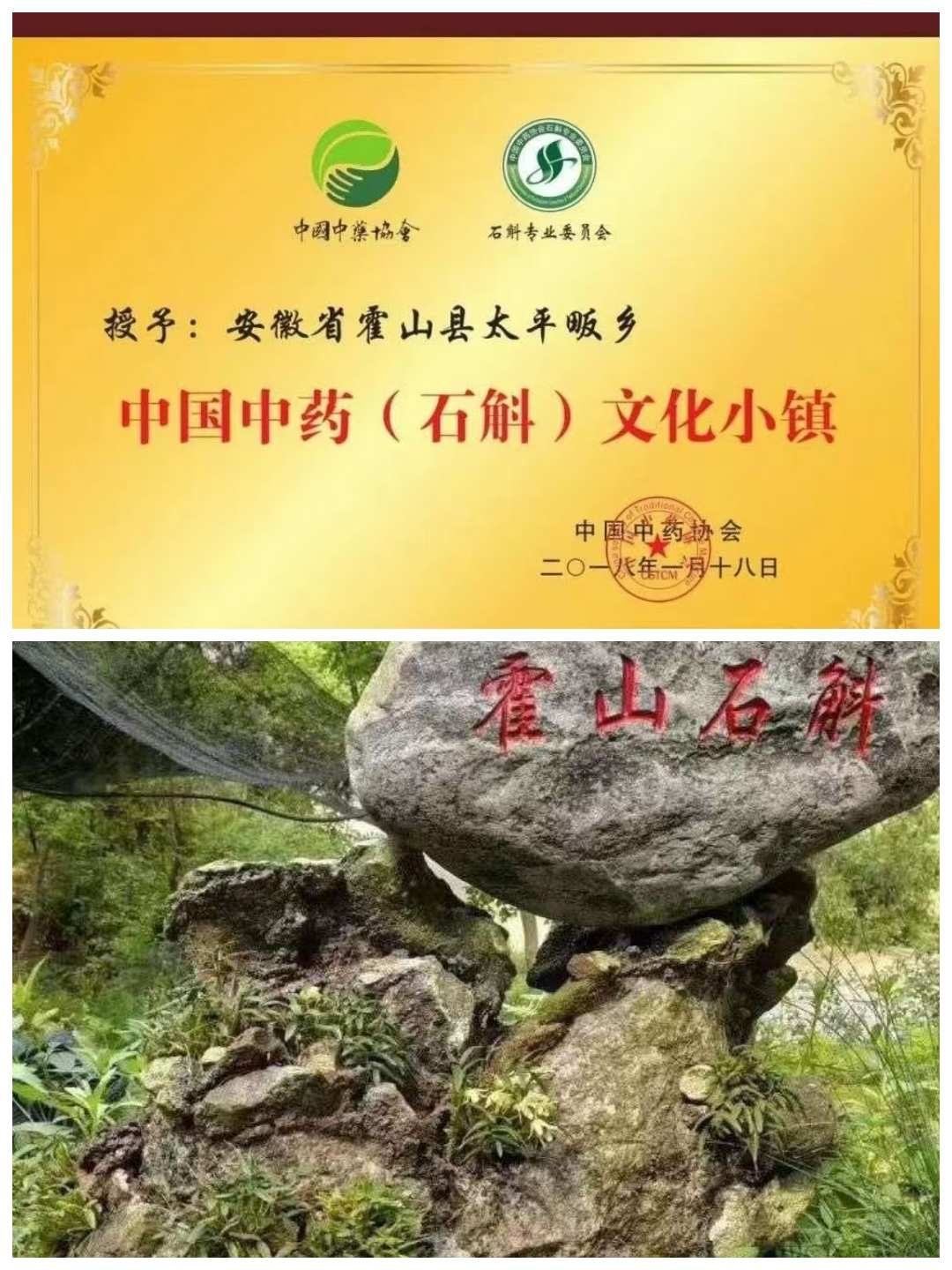 霍山石斛文化体验