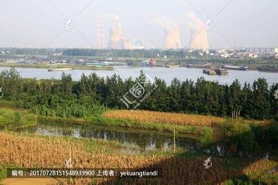 淮河湿地生态游