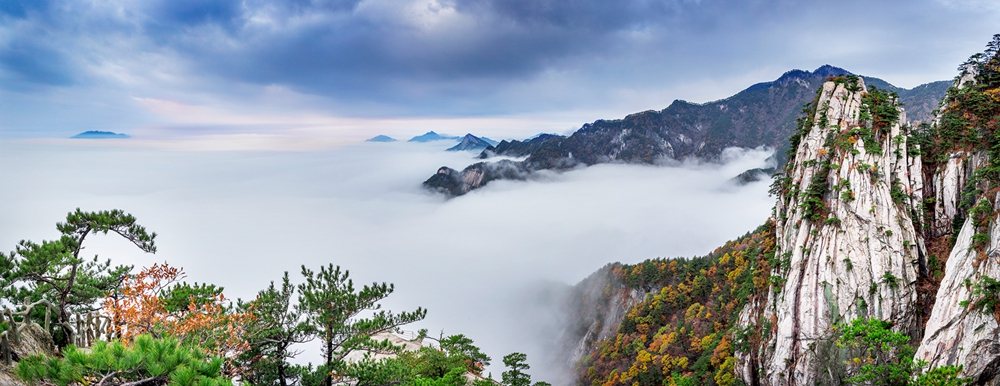 雨后天晴的清晨