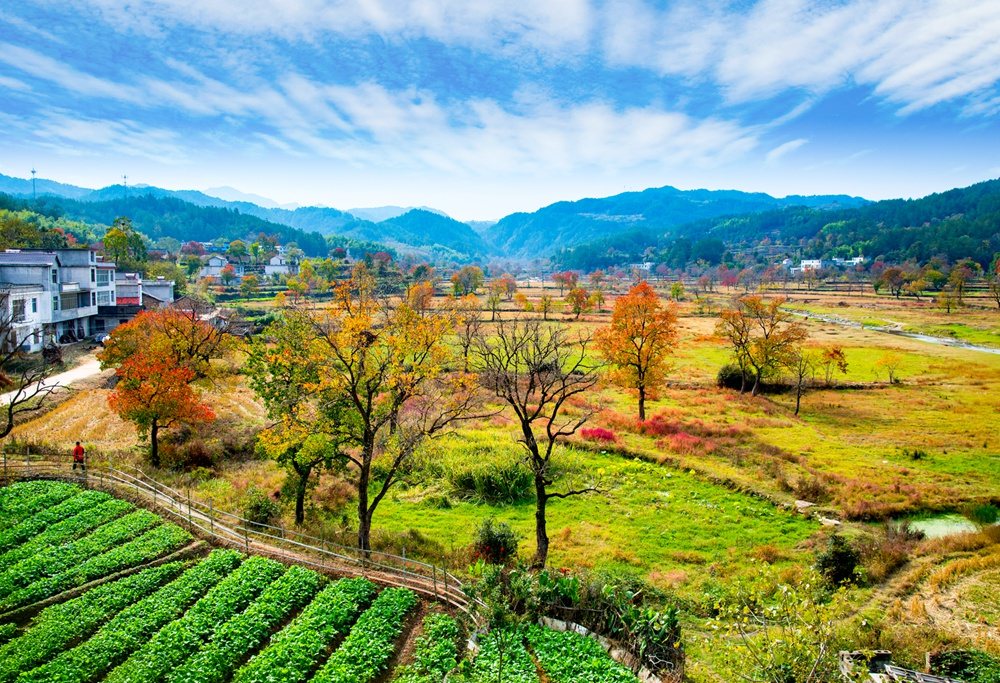 九资河的田园与远山