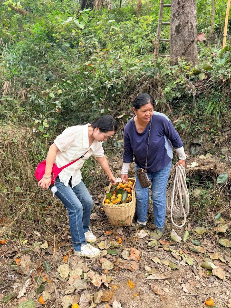 坡路窄，慢慢抬