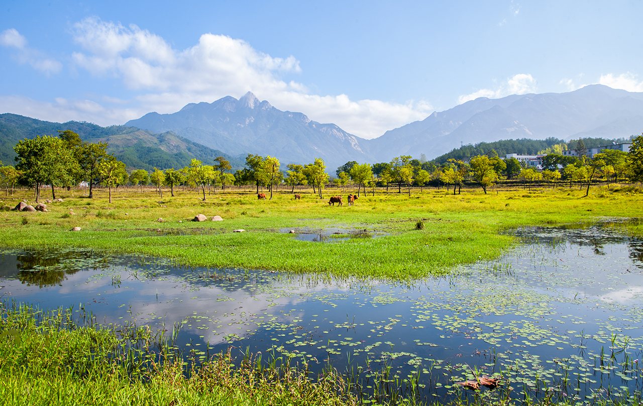 湿地草甸，远处青山连绵