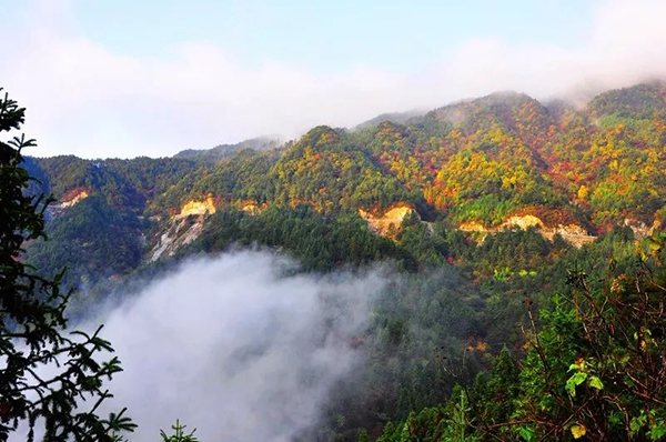 云海漫过秋色山林