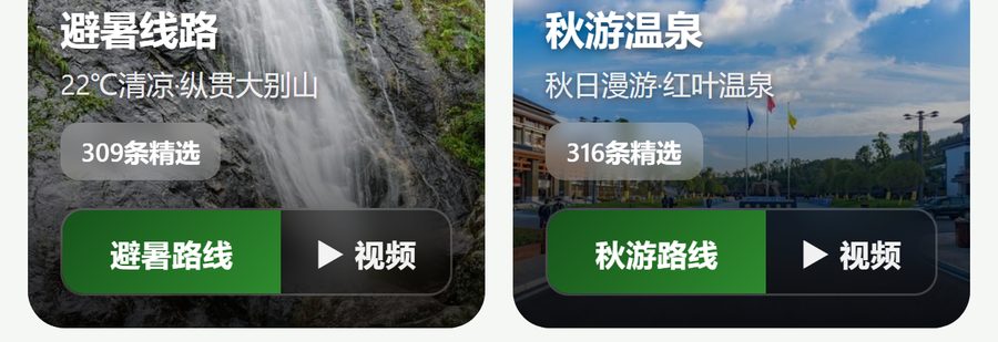 改造后单卡放大:品牌绿主按钮 + 透明次按钮 + 1px 分隔线