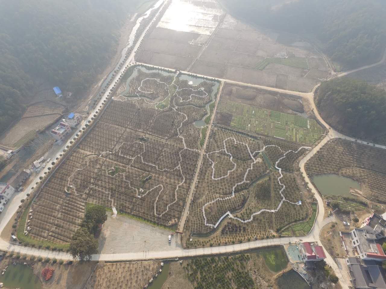 整条谷铺在眼前
