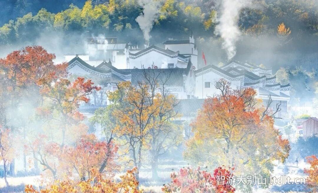 九资河乌桕红叶礼盒