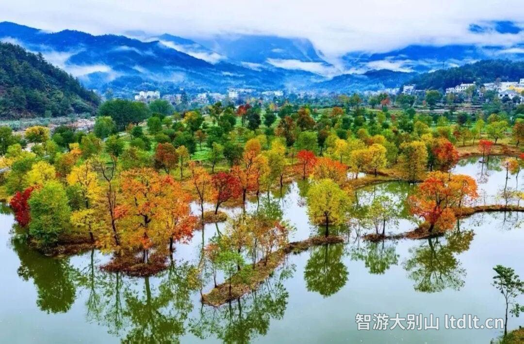 水上红叶
