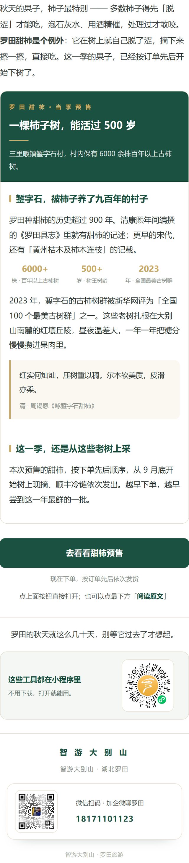 罗田旅游 · 古柿树角度 正文实样