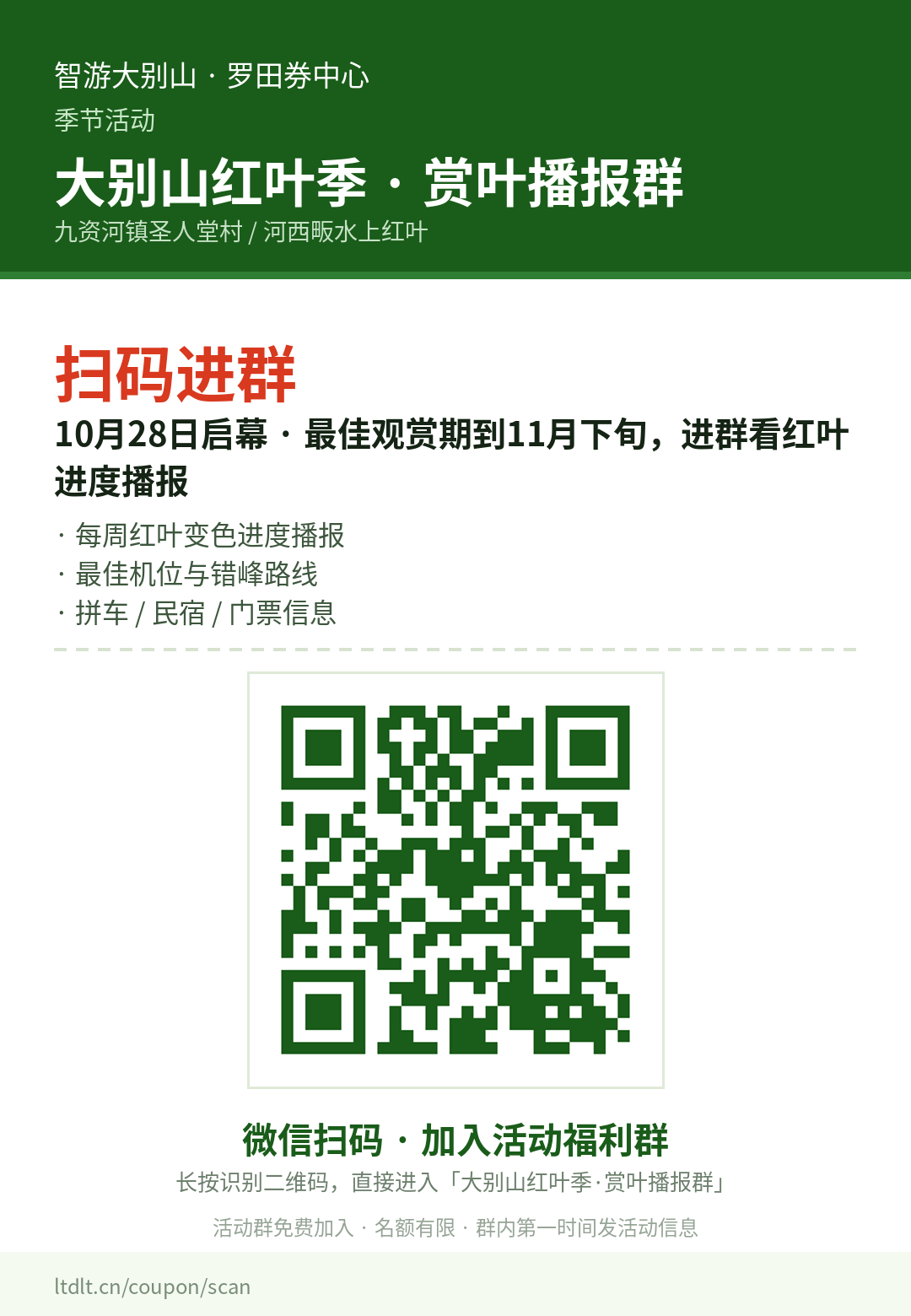 红叶季群海报