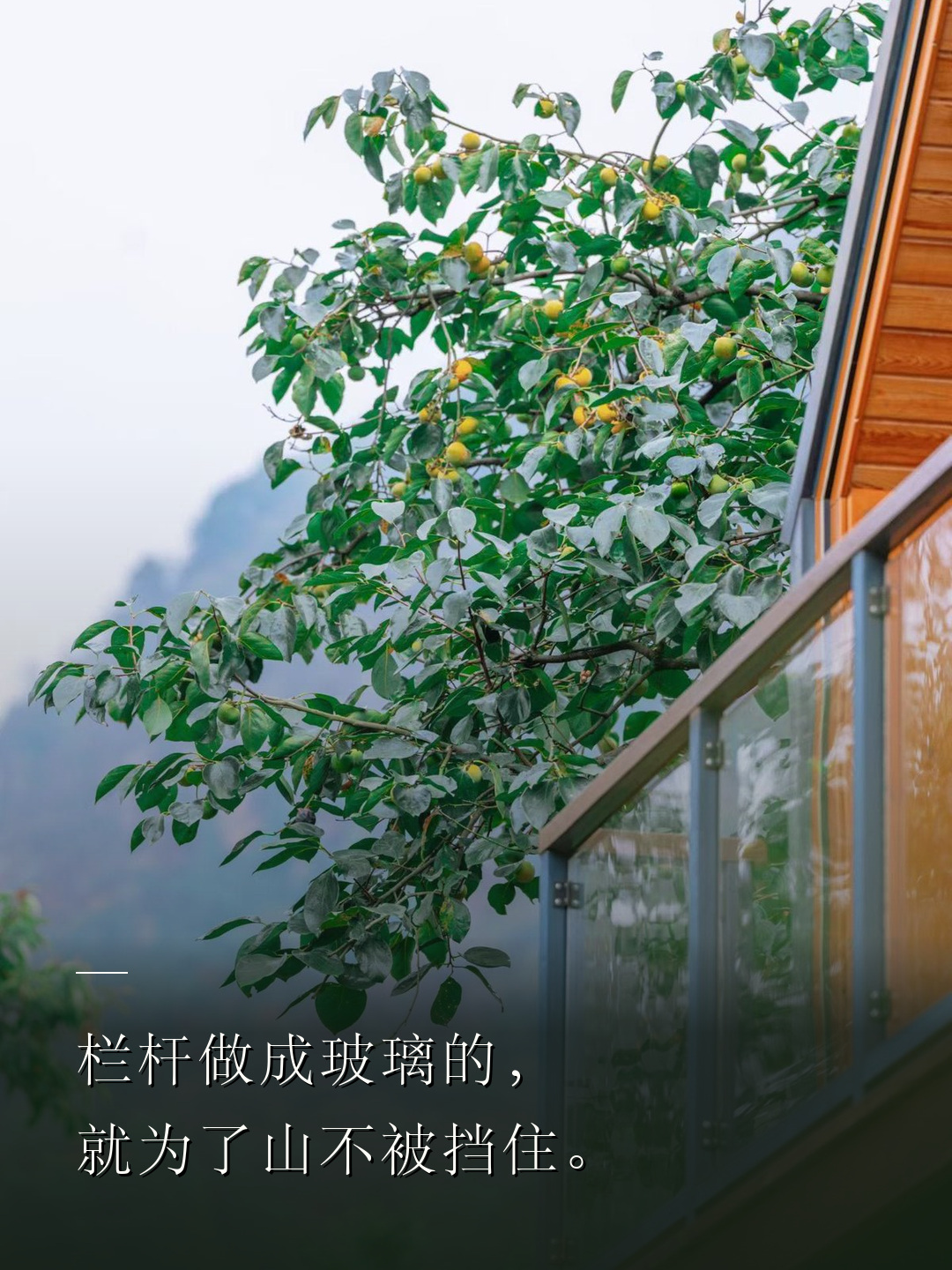 栏杆做成玻璃的，就为了山不被挡住。