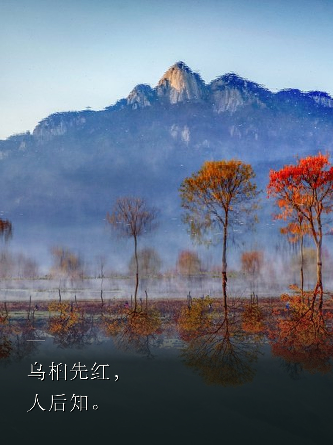 乌桕先红，人后知。
