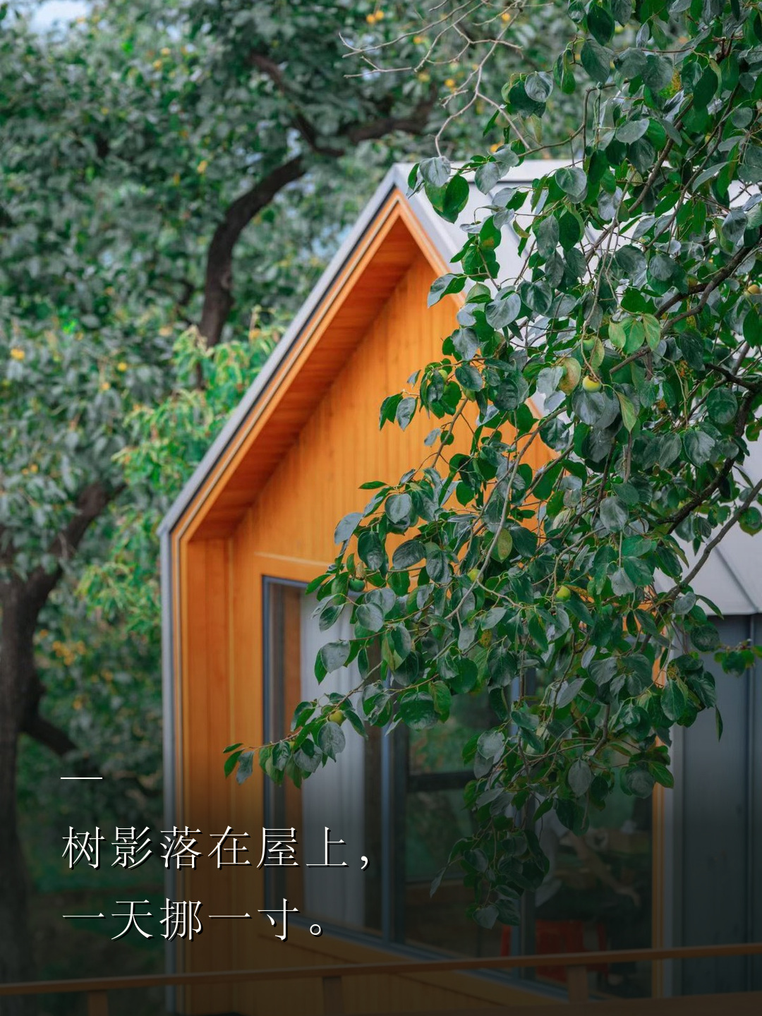 树影落在屋上，一天挪一寸。