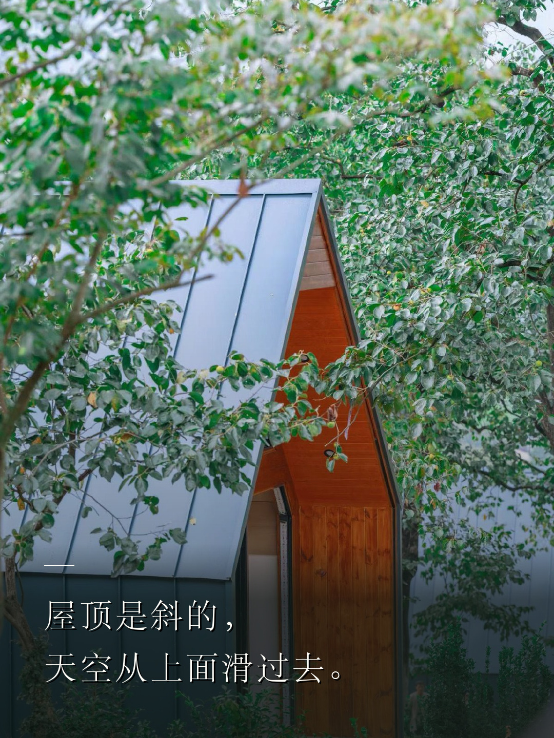 屋顶是斜的，天空从上面滑过去。