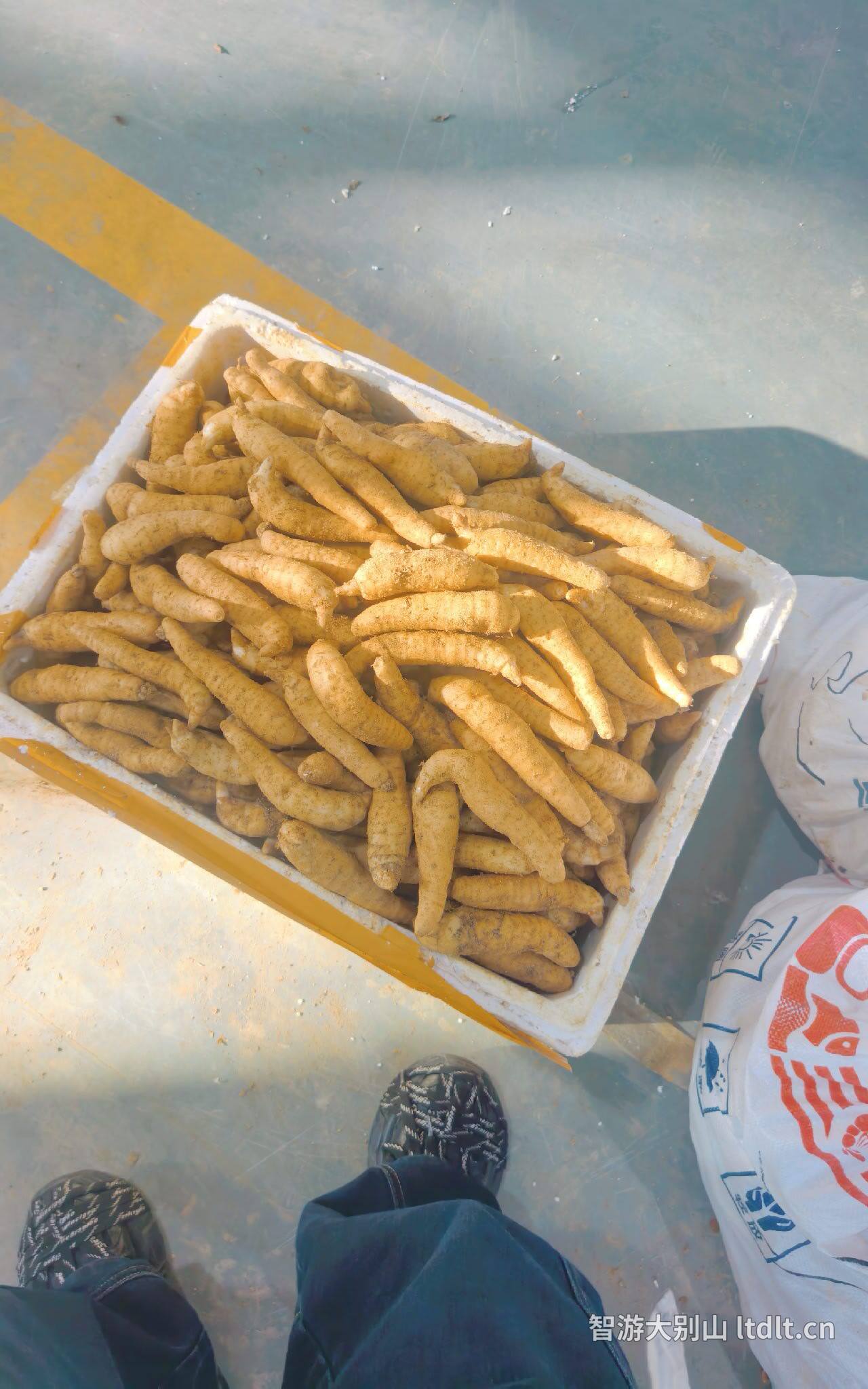天麻装箱