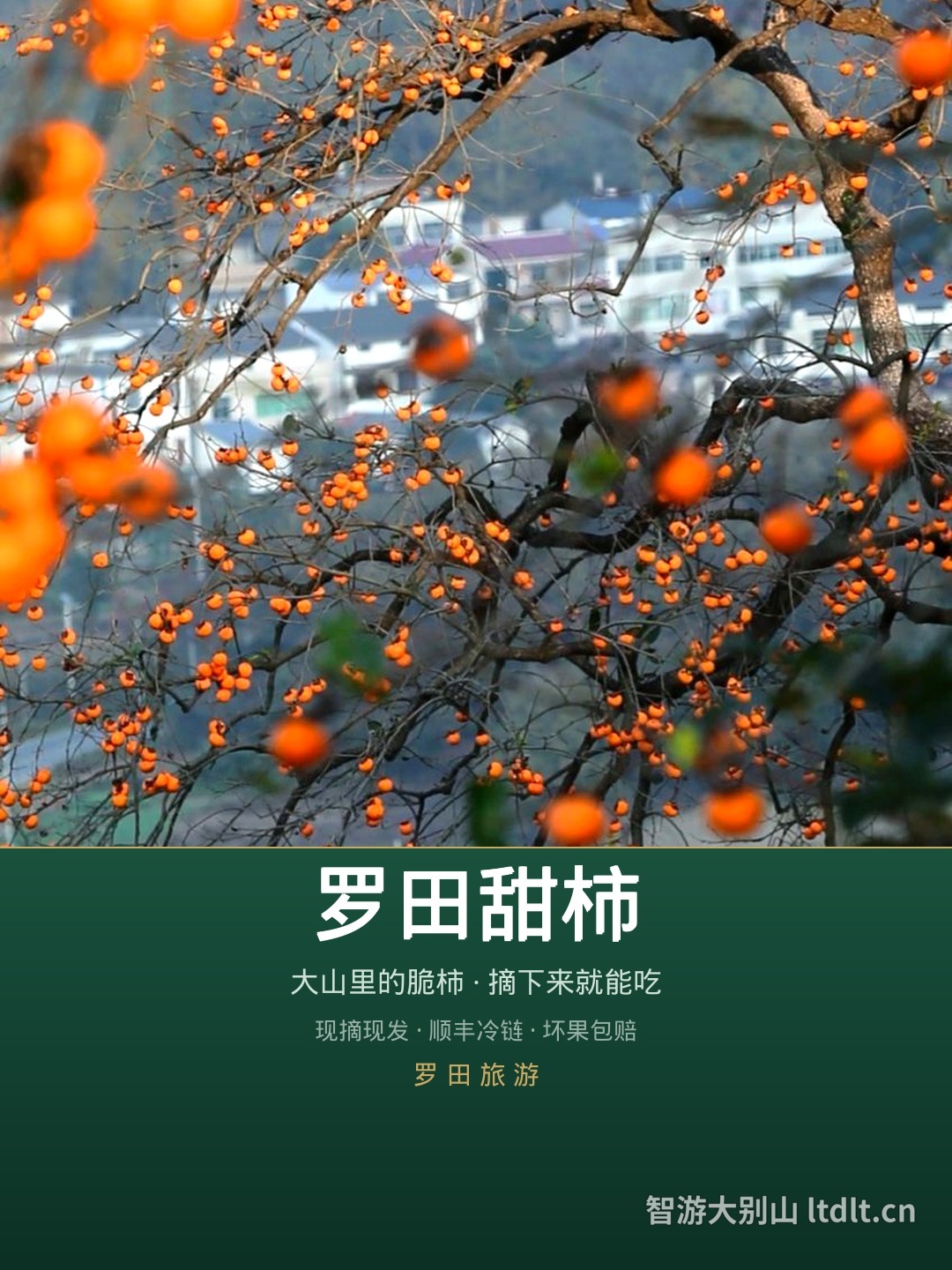 新封面