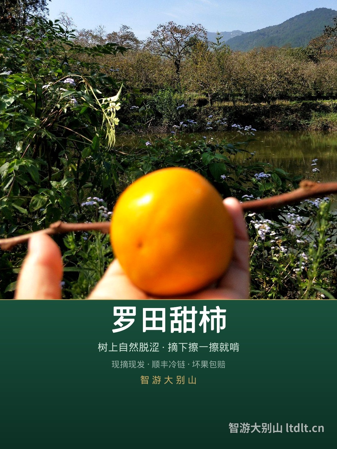 新封面