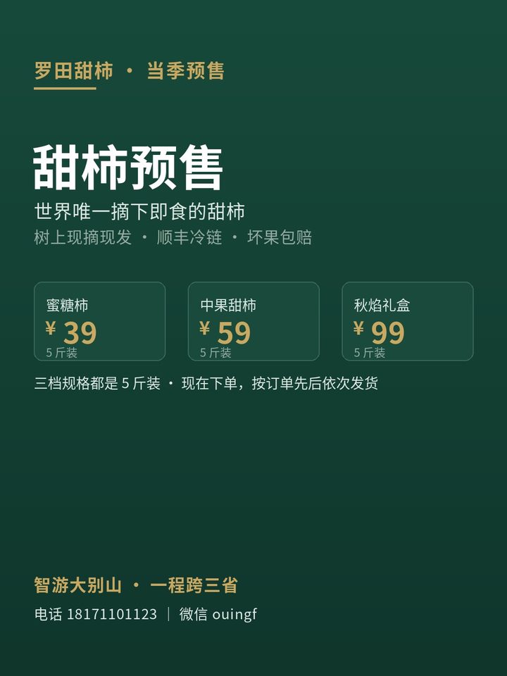 甜柿预售封面