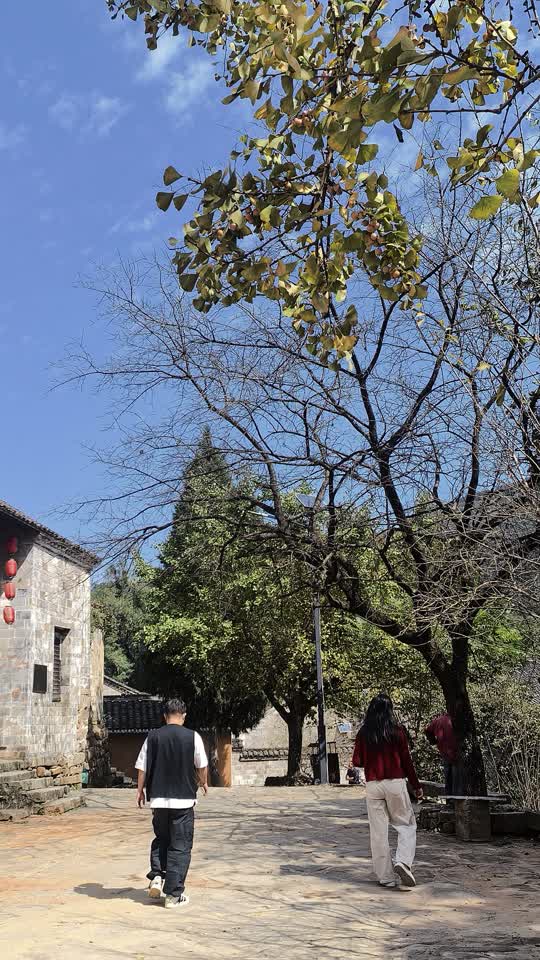 古村石板路竖版落位预览